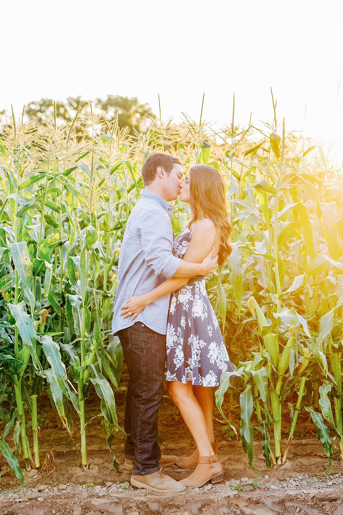 engagement session in a cornfield